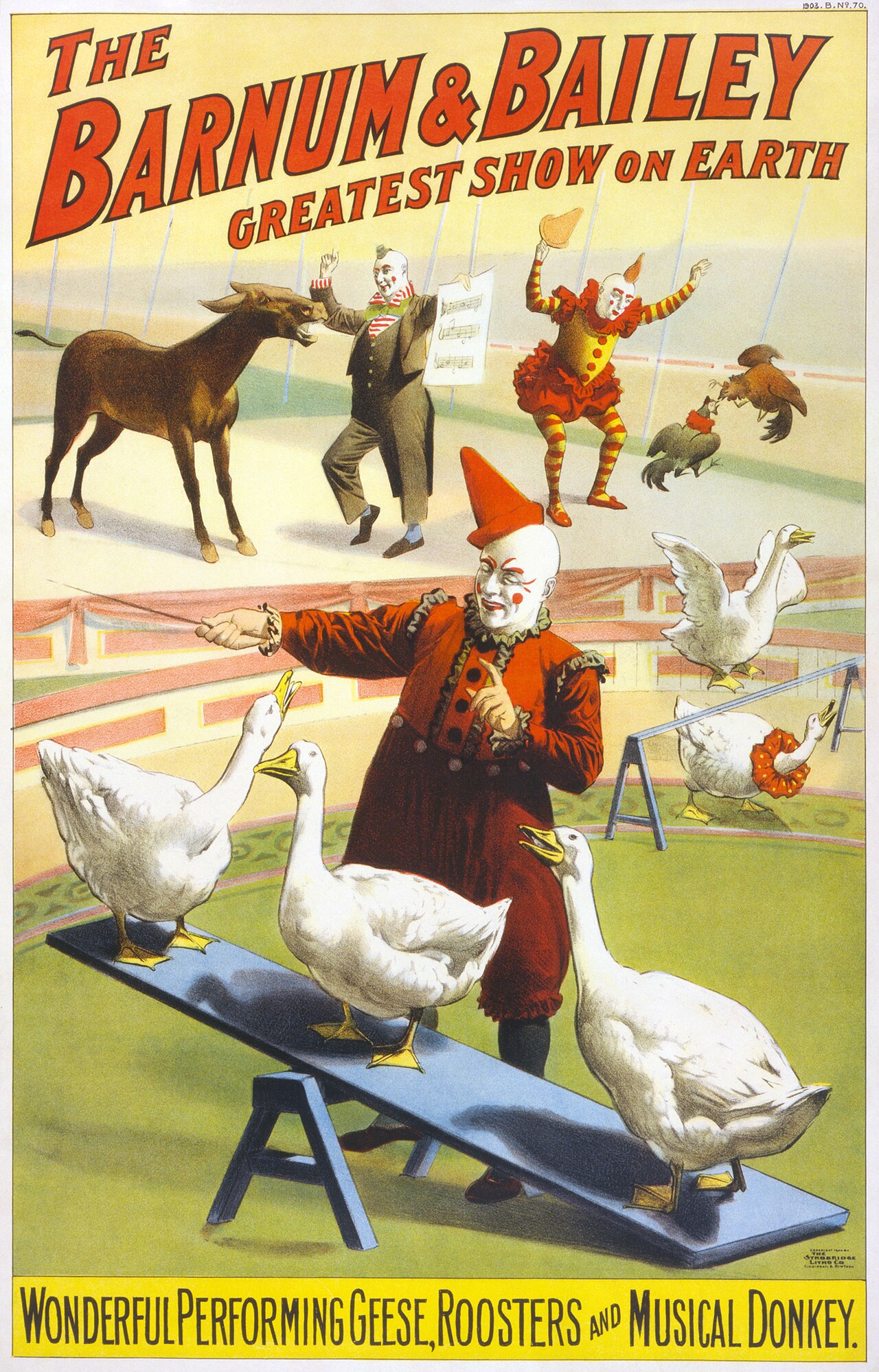Circus Arts