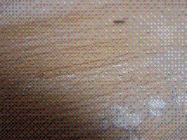A short stop motion animation made from twenty-one photos.