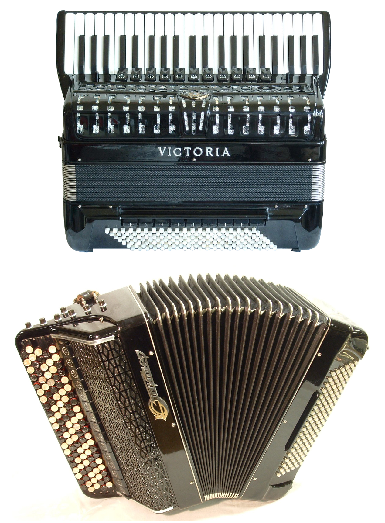 The Accordion