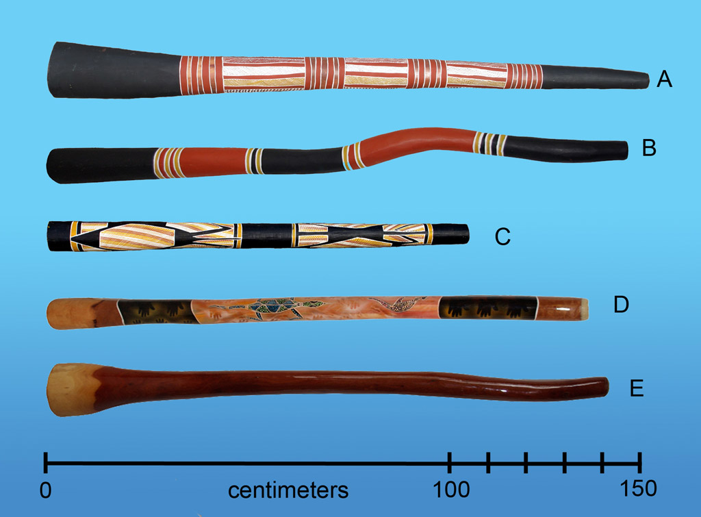 The Didgeridoo