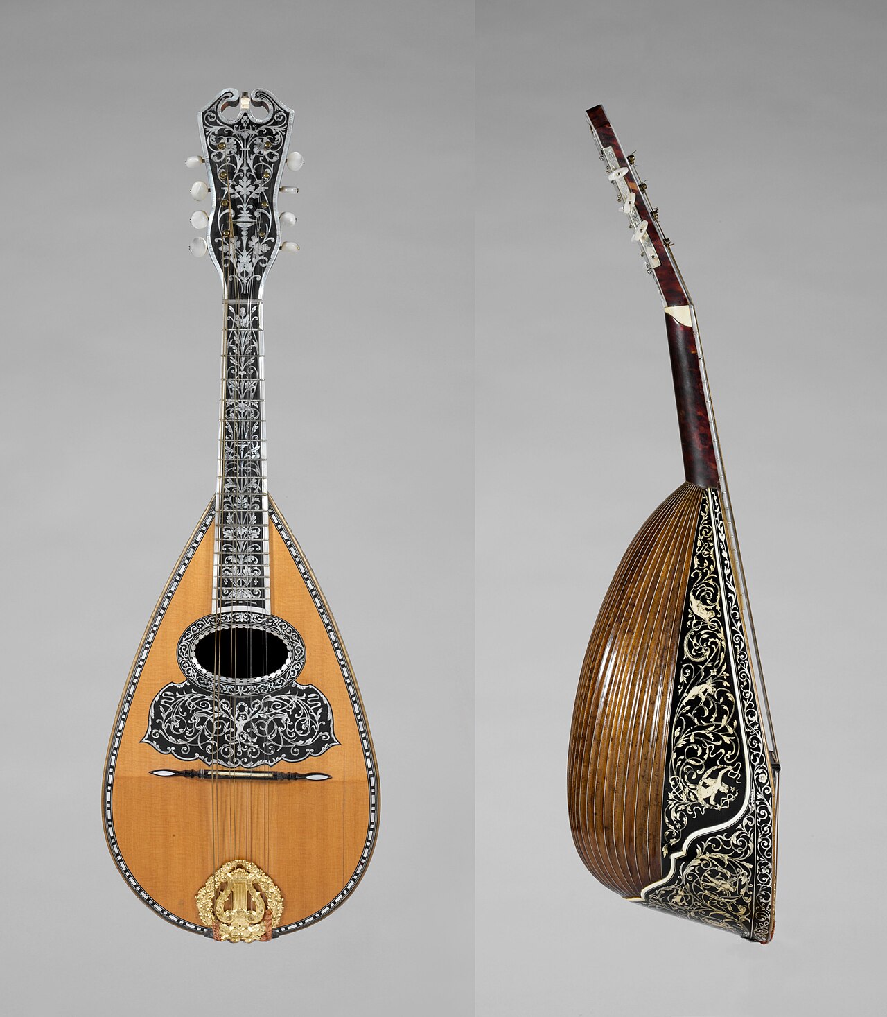 The Mandolin