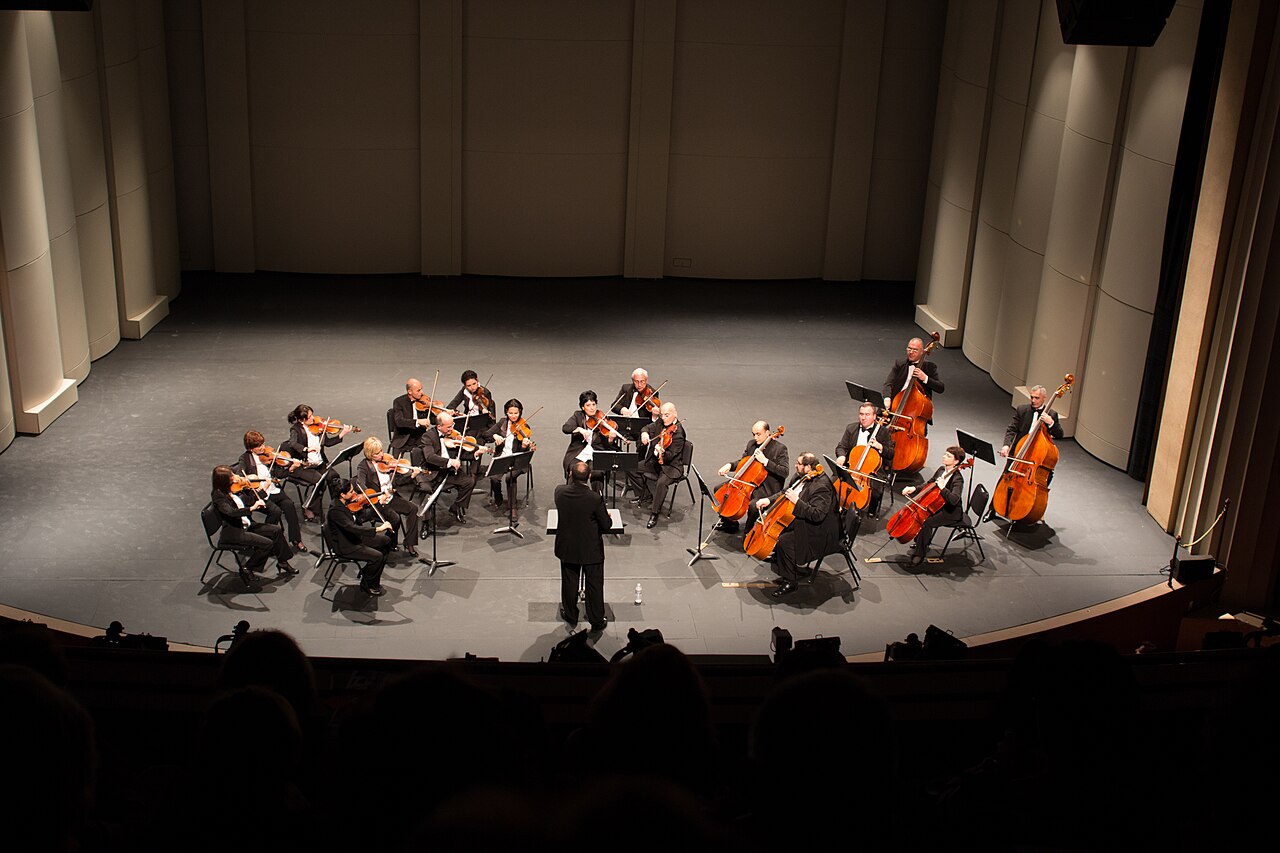 The Orchestra