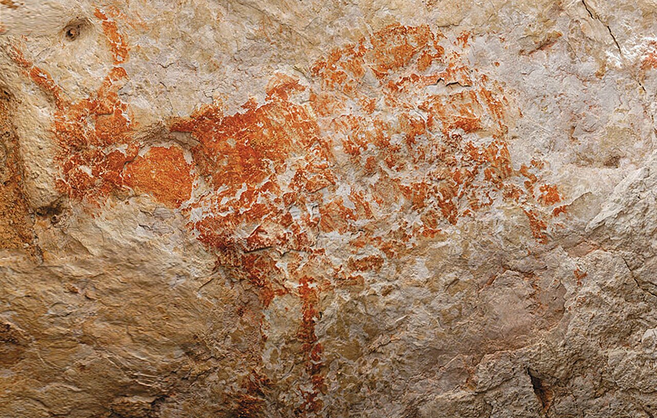 Very old cave painting of a wild animal from Indonesia.