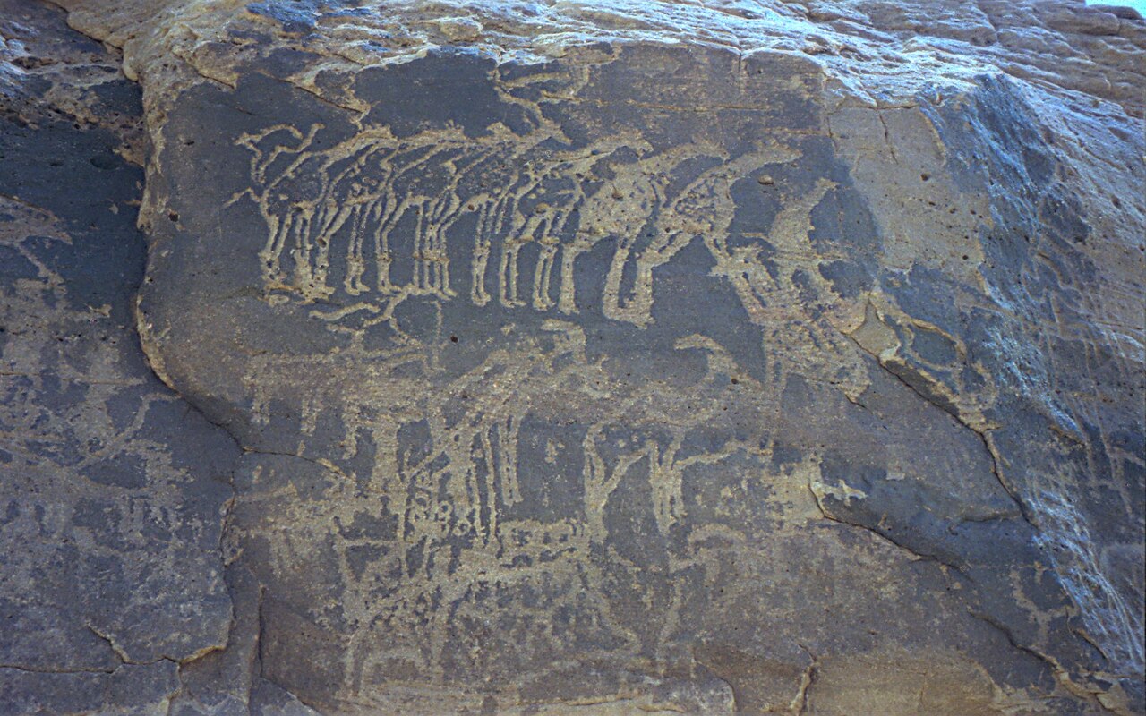 Very old rock carving from the Sahara Desert.