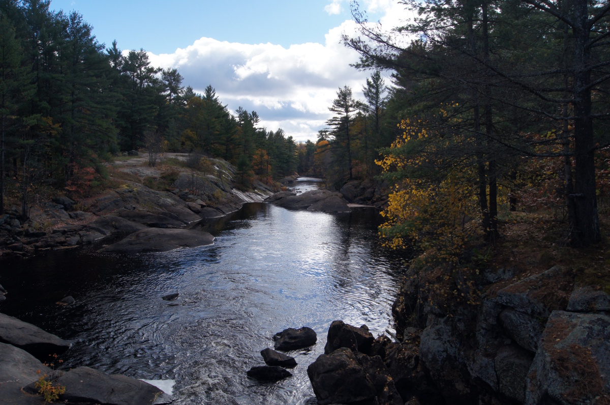 Peaceful river flowing through a park in Ontario.