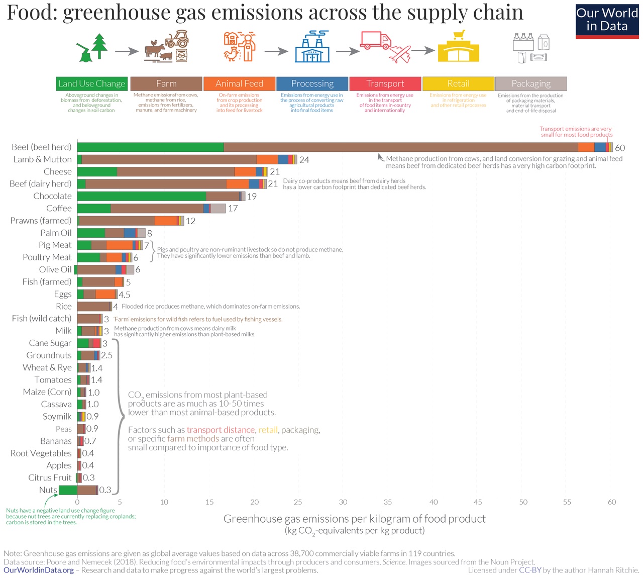 Carbon Footprint