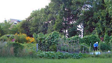 Community Gardens
