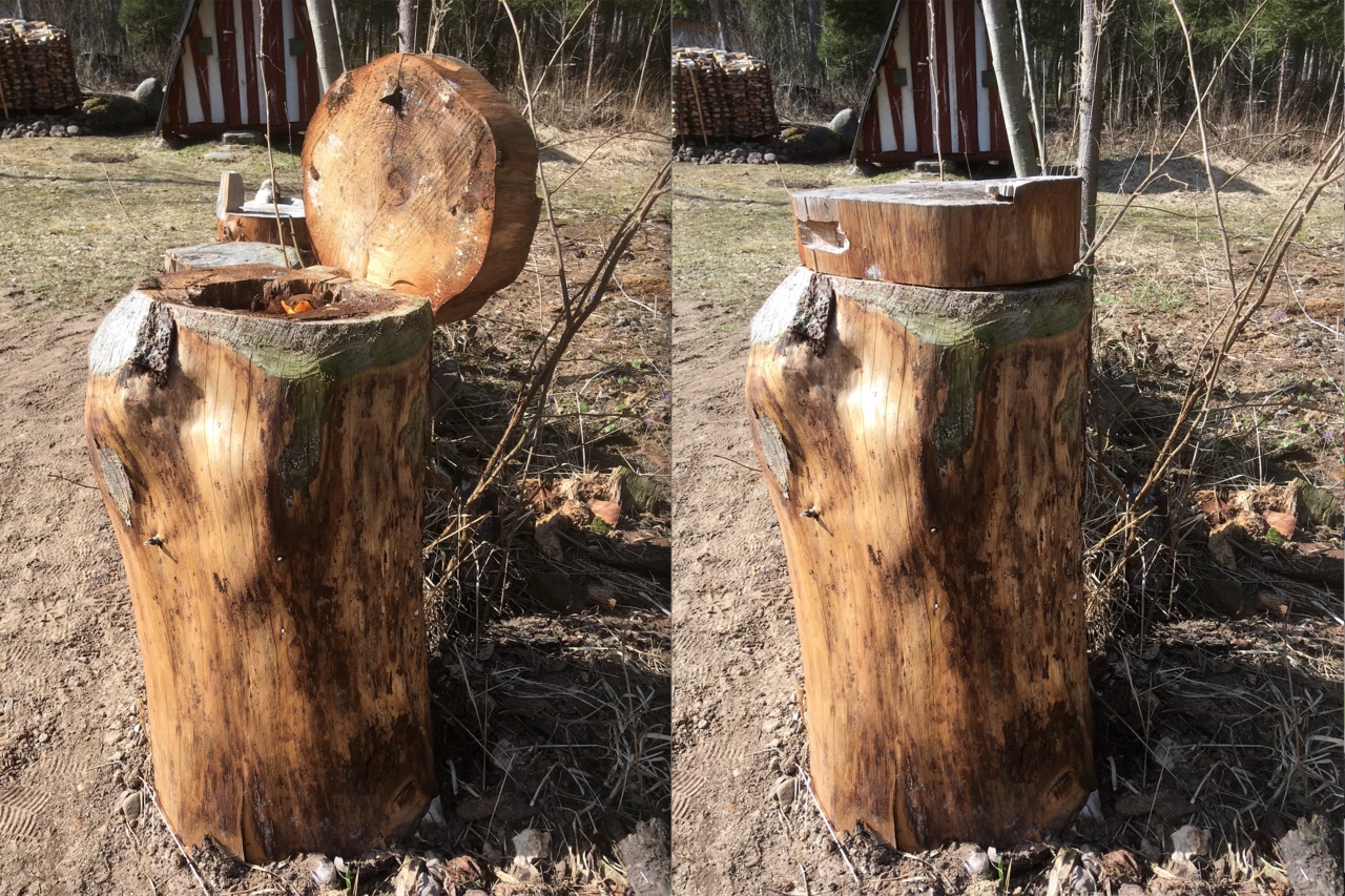 A cool compost bin made from a hollow log in the forest.