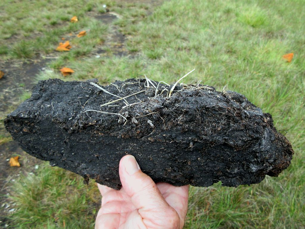 Peatlands