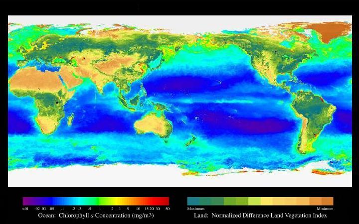 Sustainable Fishing