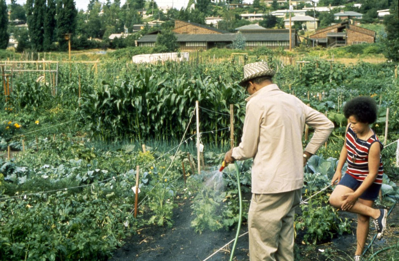 People work together in a leafy community garden.