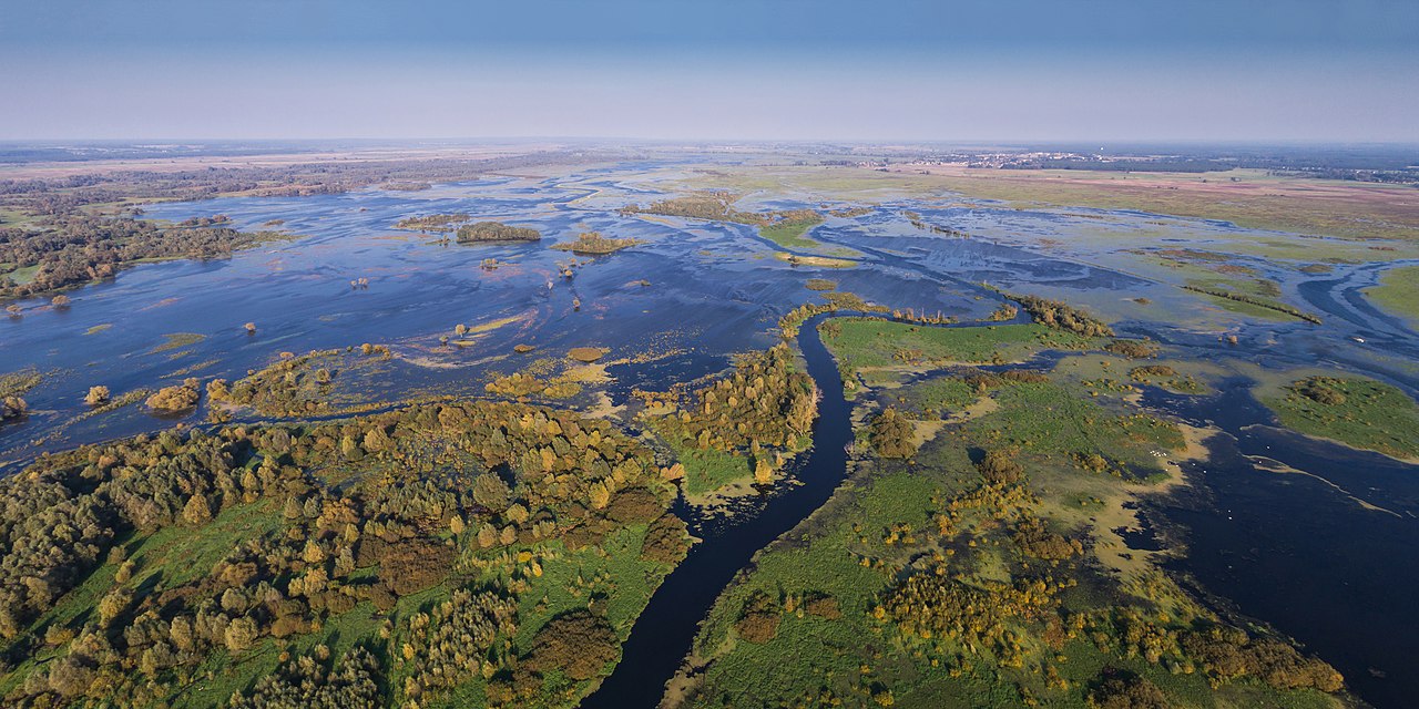Wetland Conservation