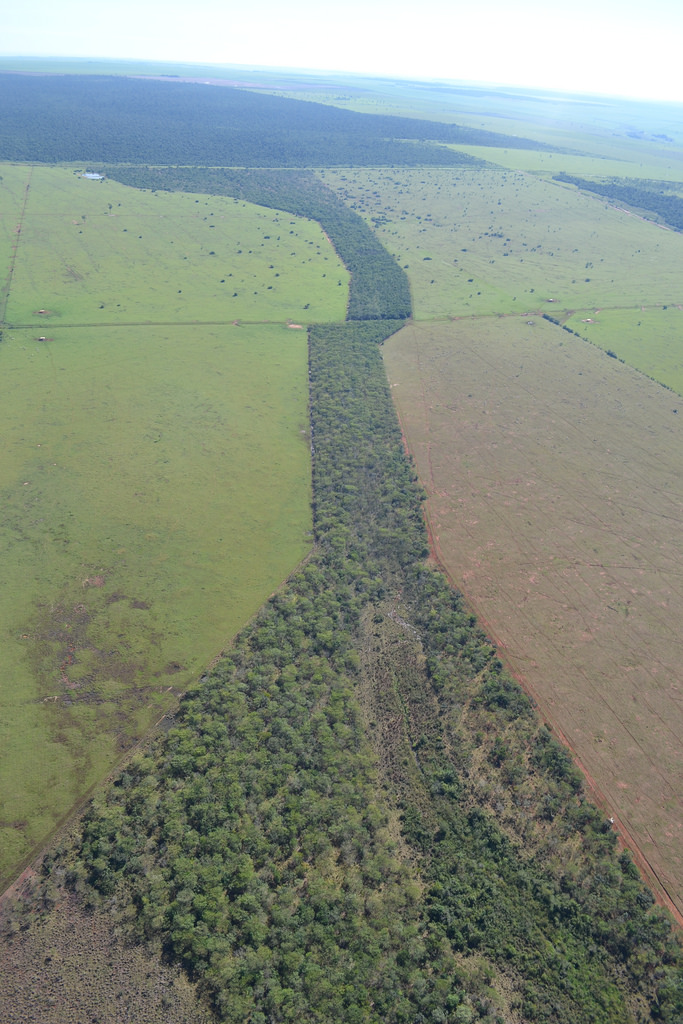 Wildlife Corridors