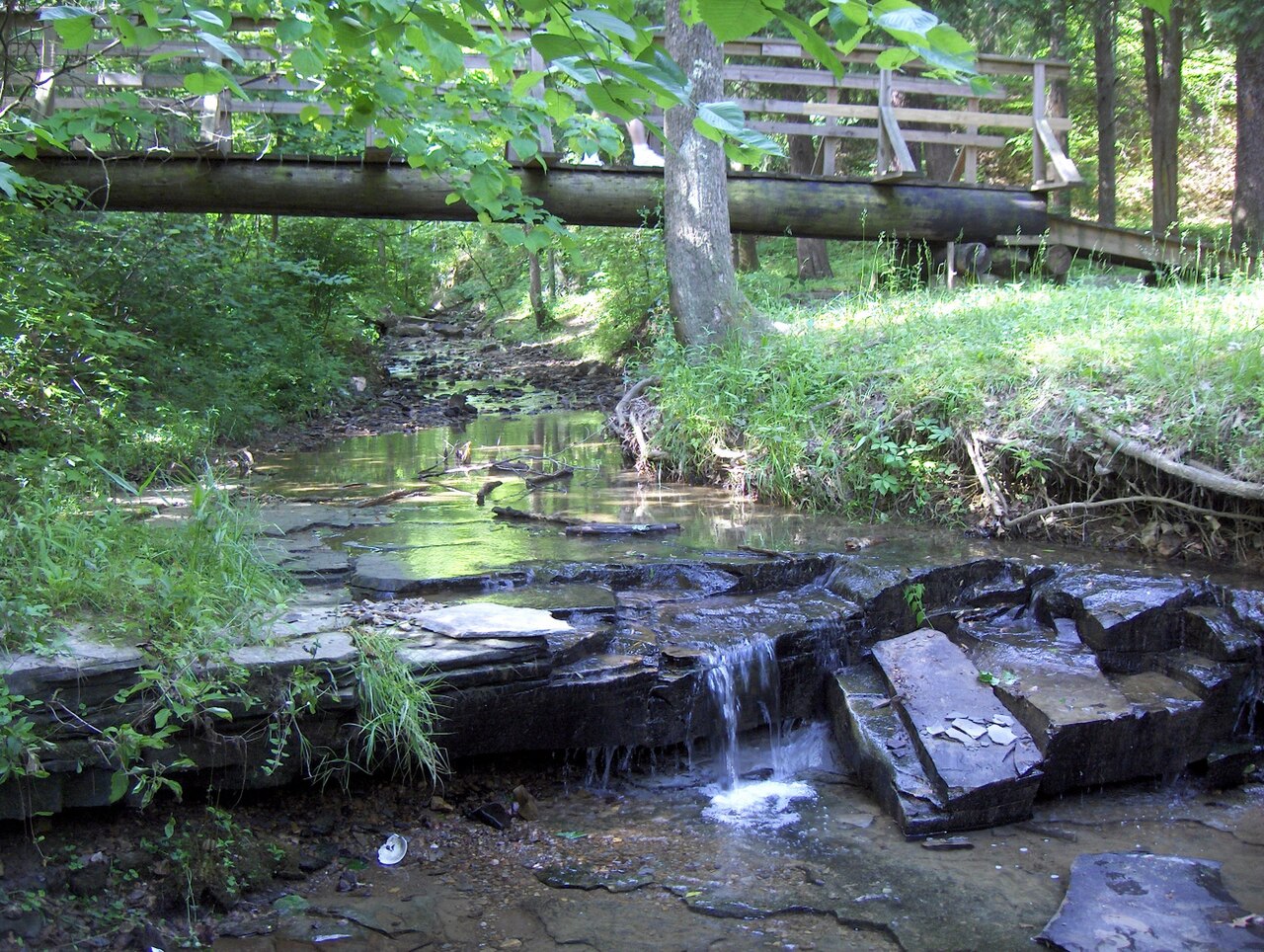 Wildlife Reserves