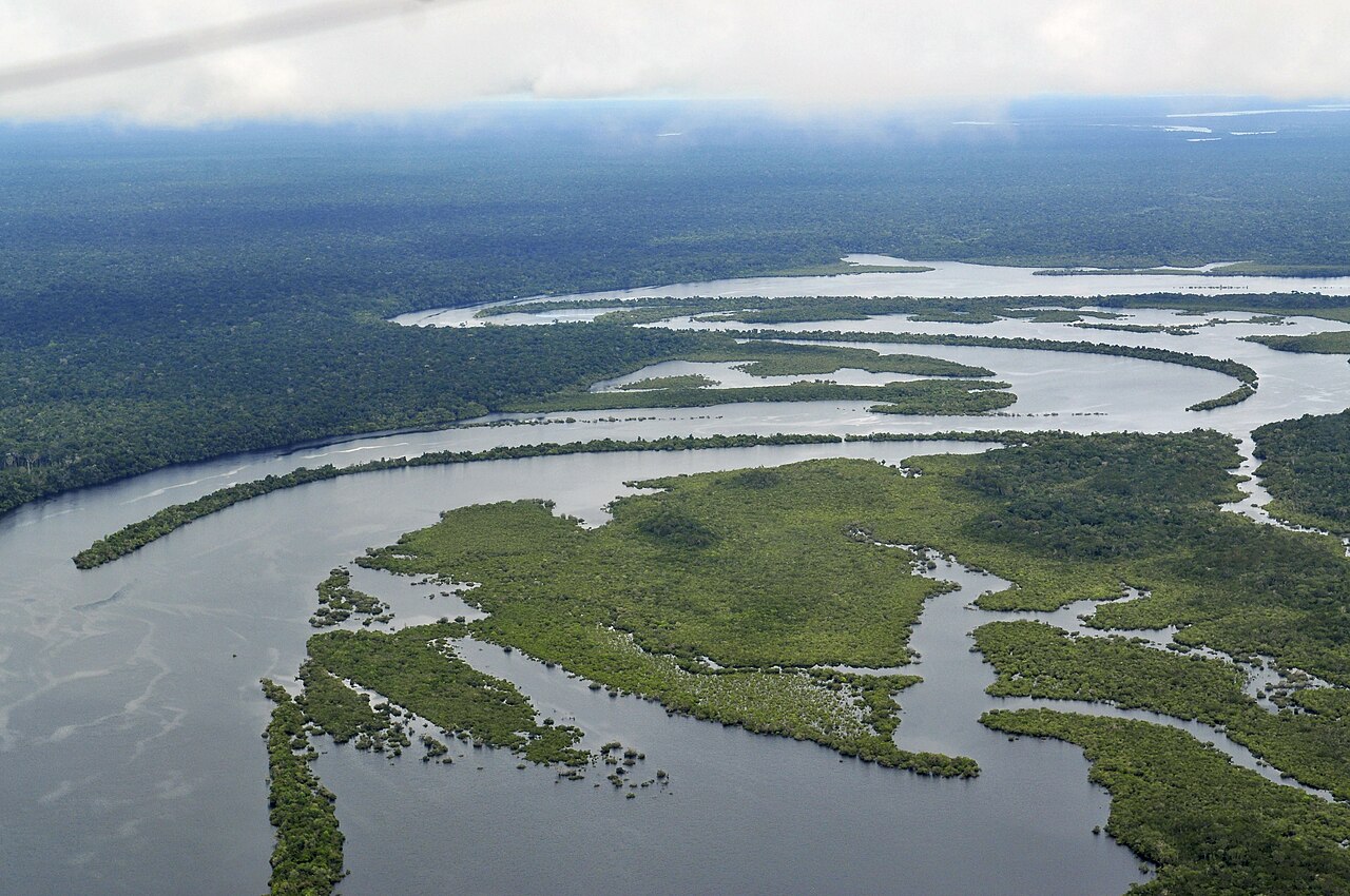 The Amazon Exploration