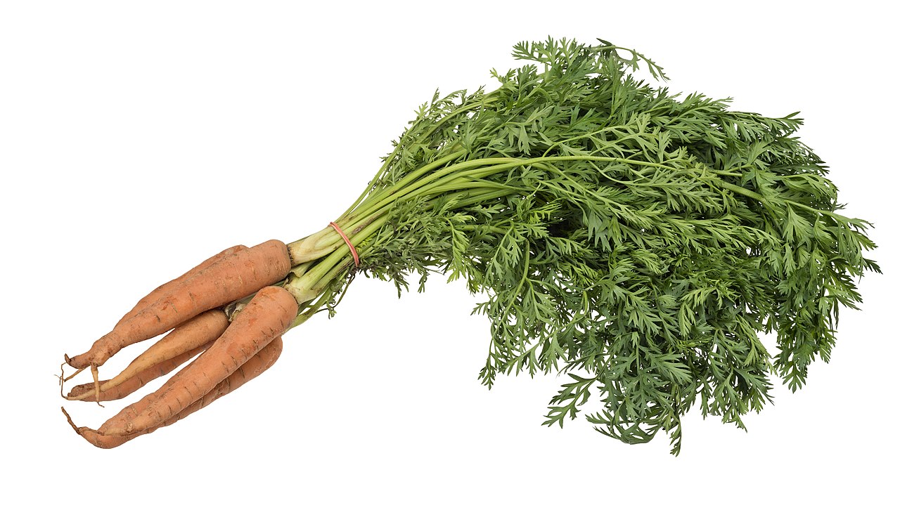 Carrots