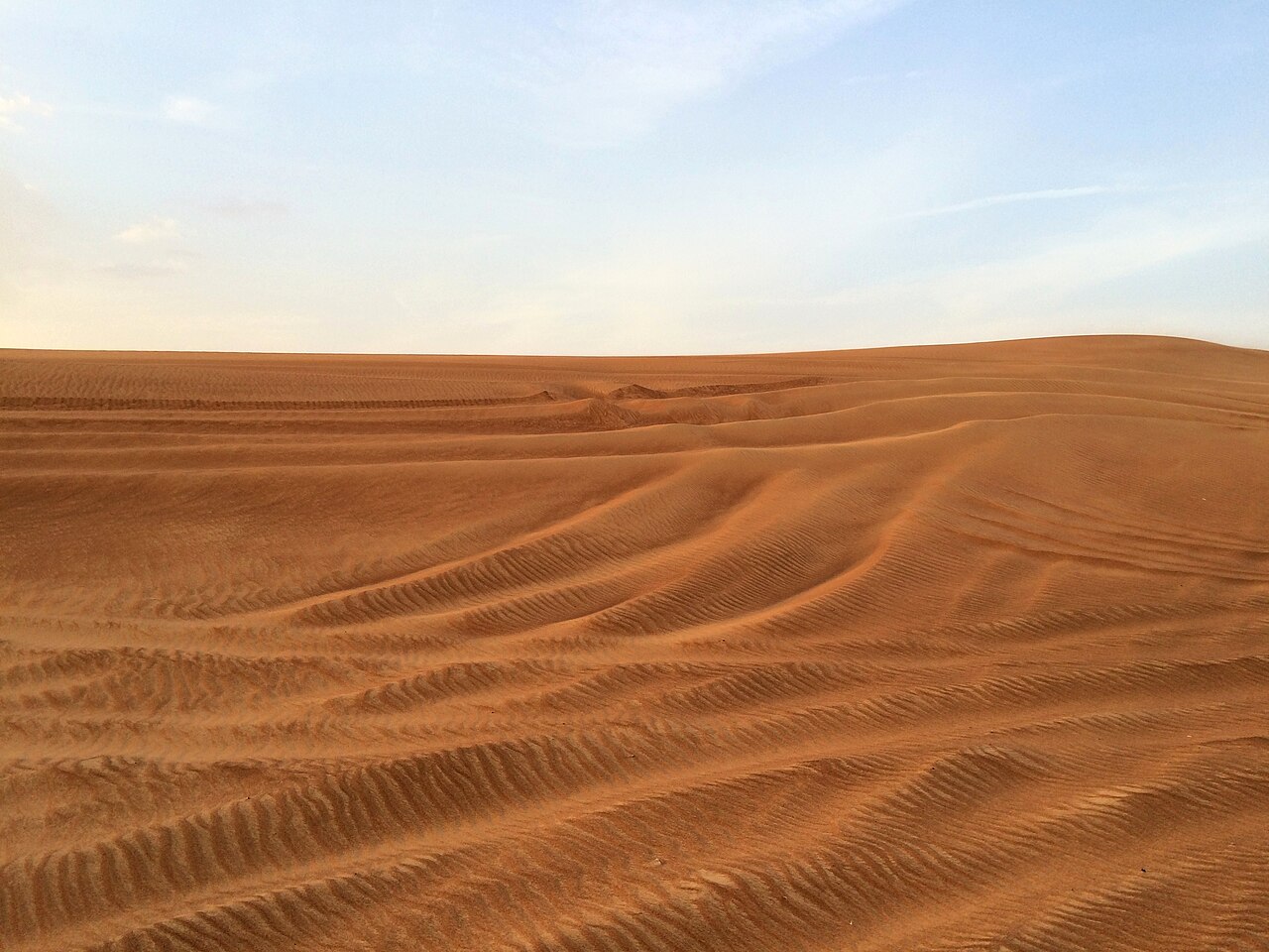 The Arabian Desert