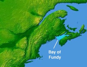 The Bay of Fundy