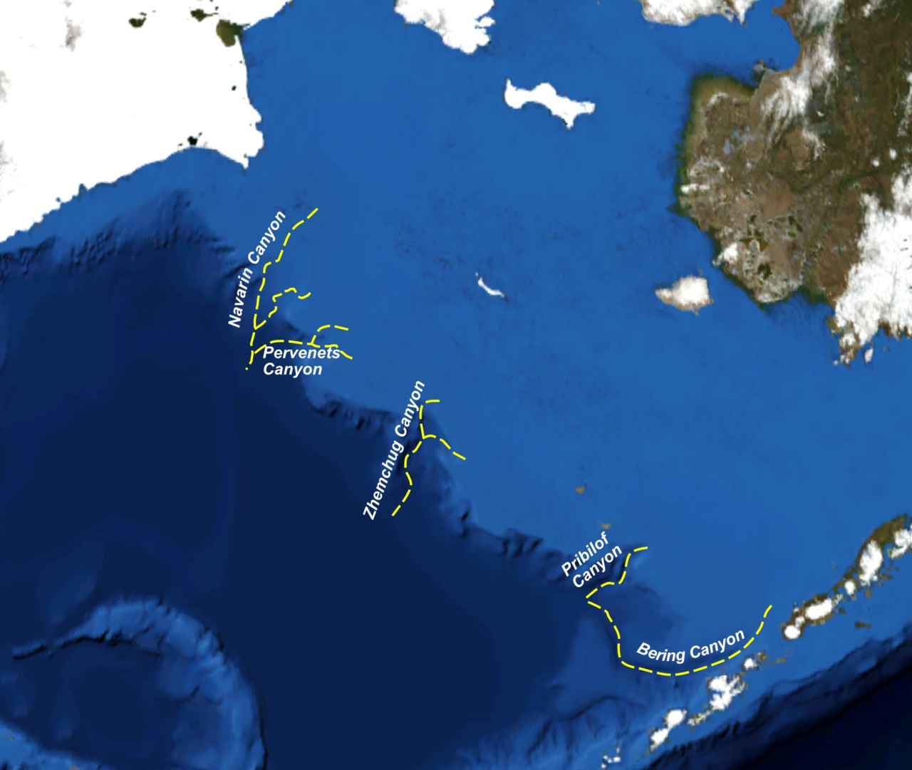 A map highlights deep underwater canyons in the Bering Sea.