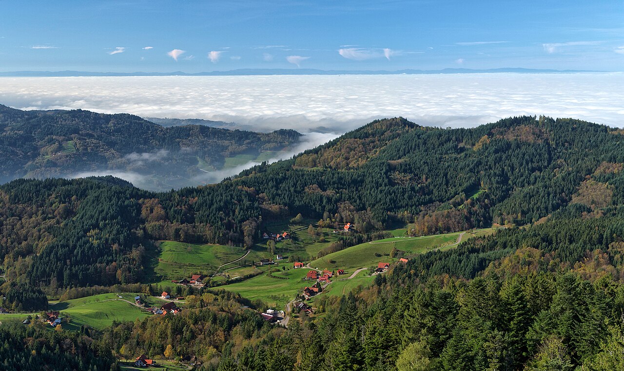 The Black Forest