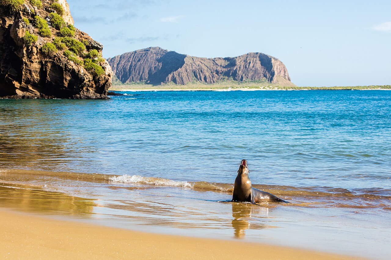 The Galapagos Islands