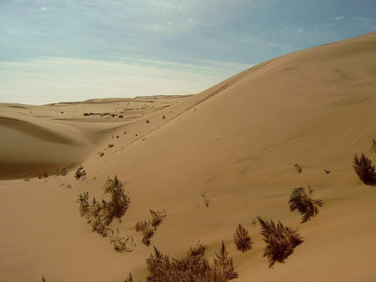 The Gobi Desert