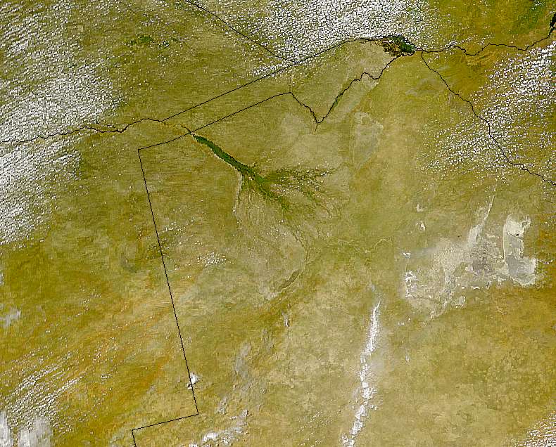 Winding blue water fills the grassy Okavango Delta.