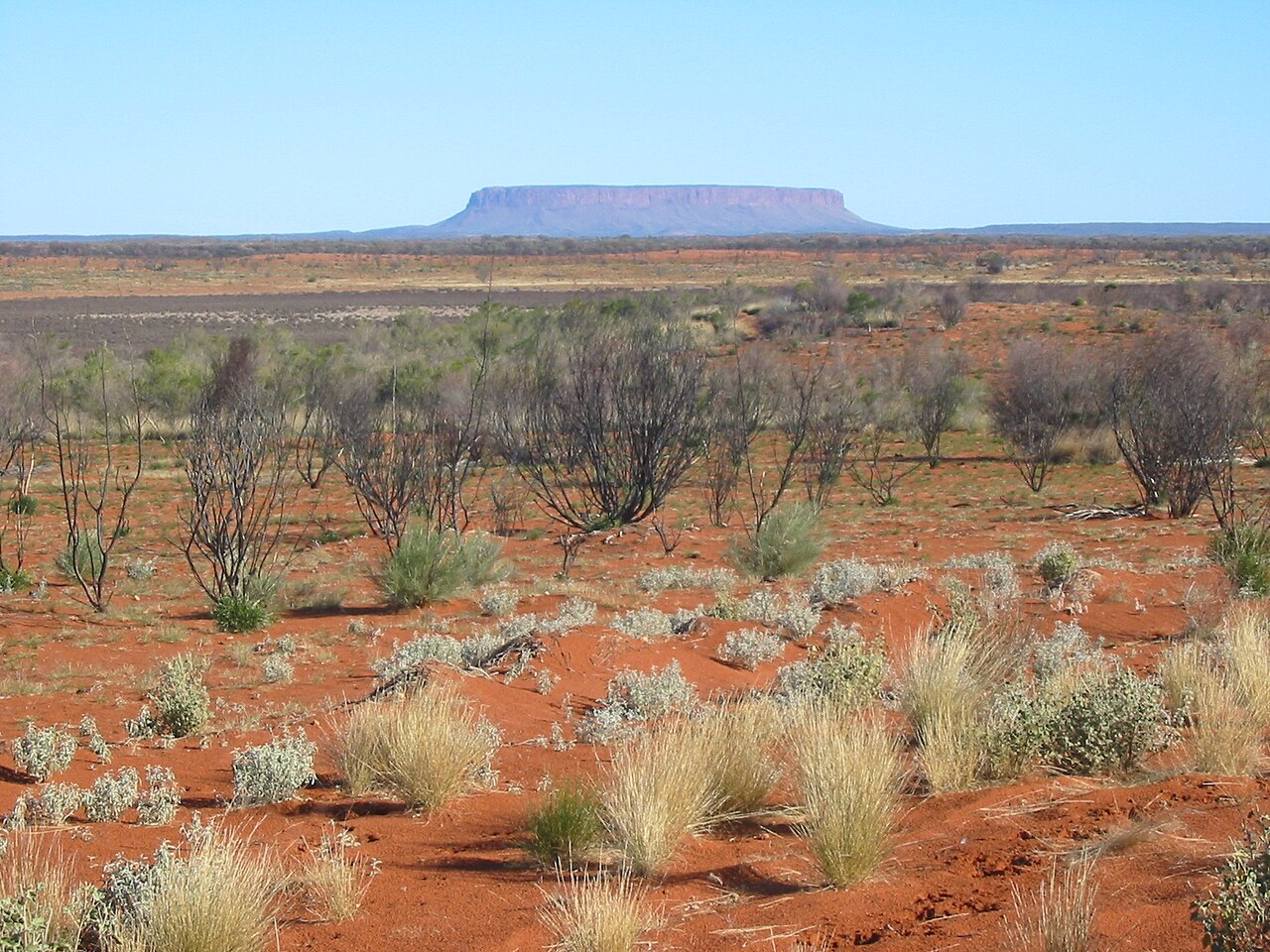 The Outback