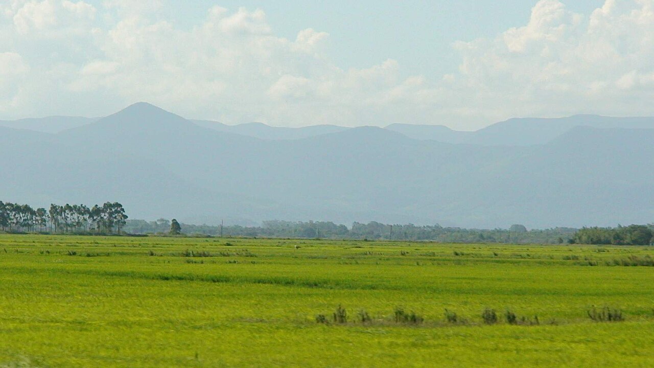 The Pampas