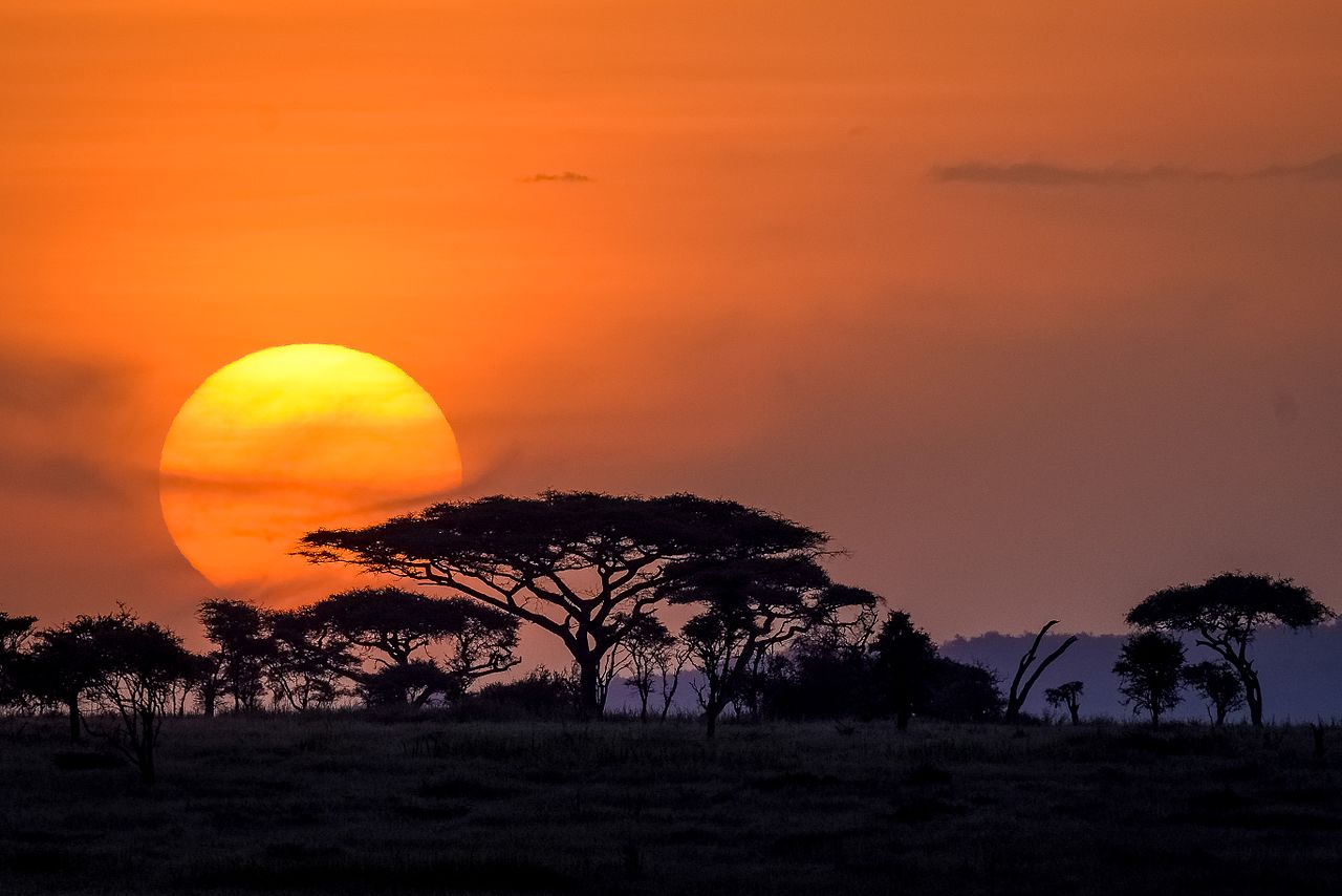 The sun sets over the wide open Serengeti plains.