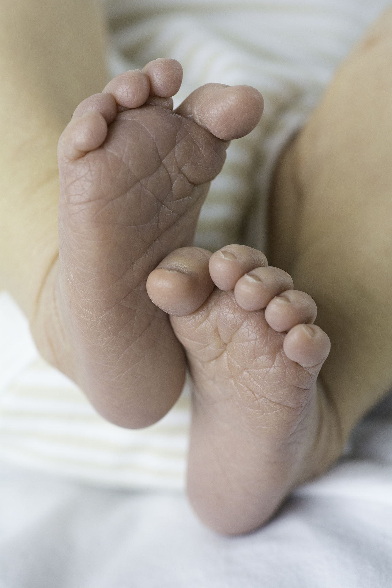 The tiny feet of a newborn baby boy.