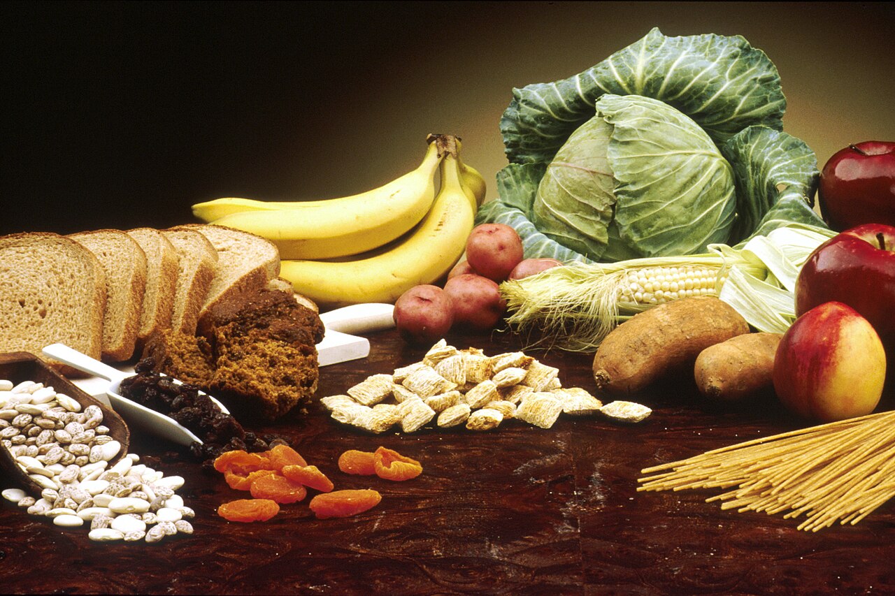 Fiber