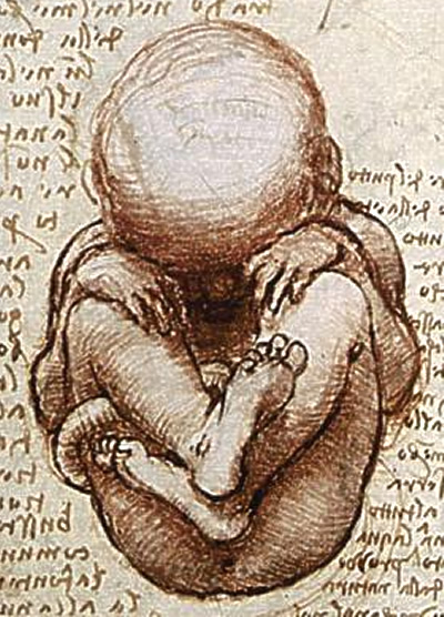 A famous old drawing of a baby growing inside its mother.