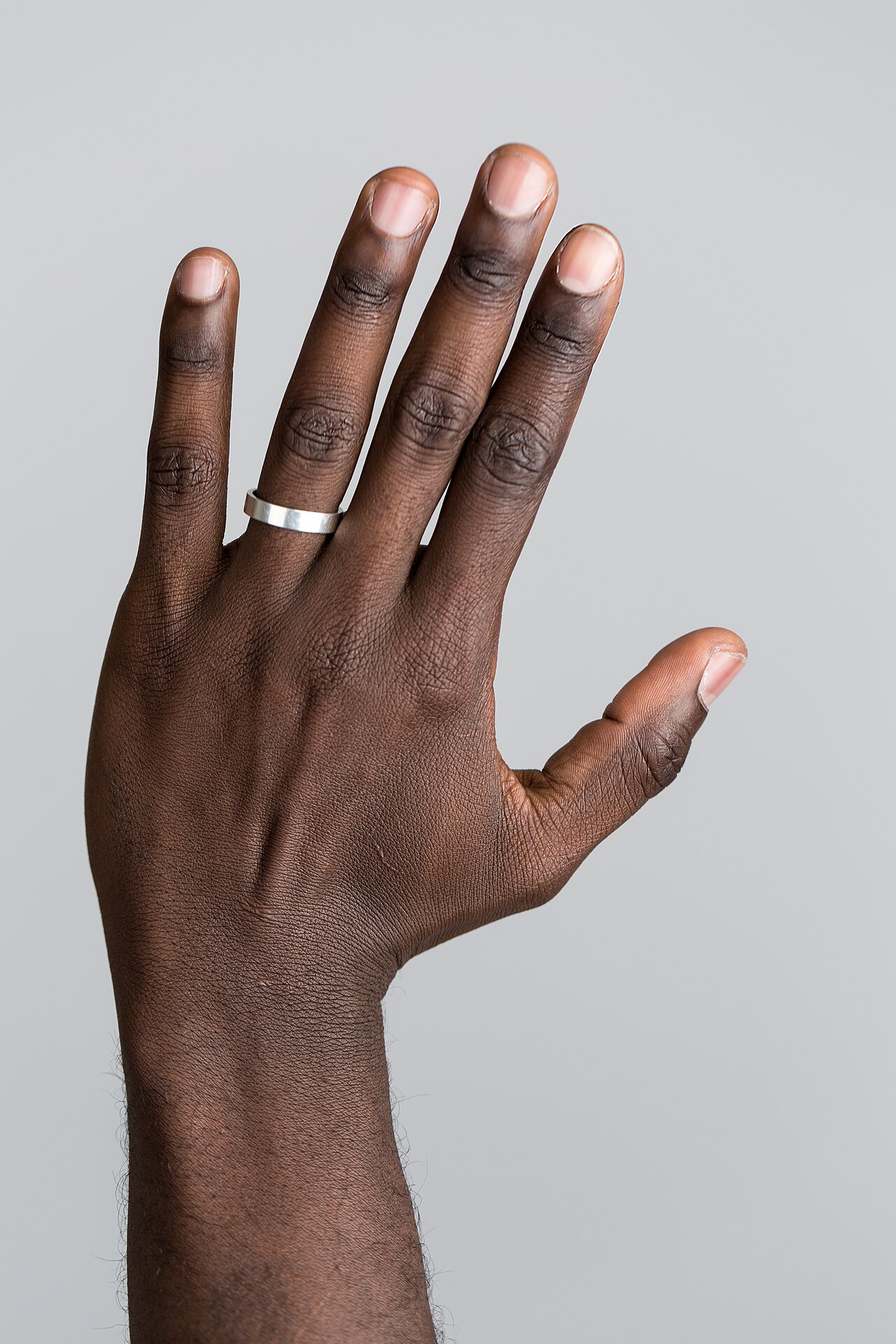 A close-up of the back of a hand and its fingers.