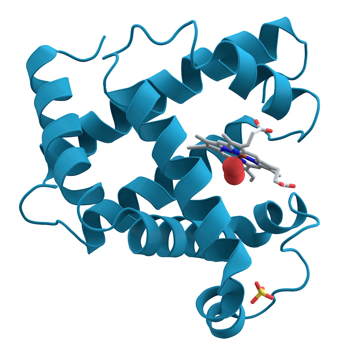 Proteins