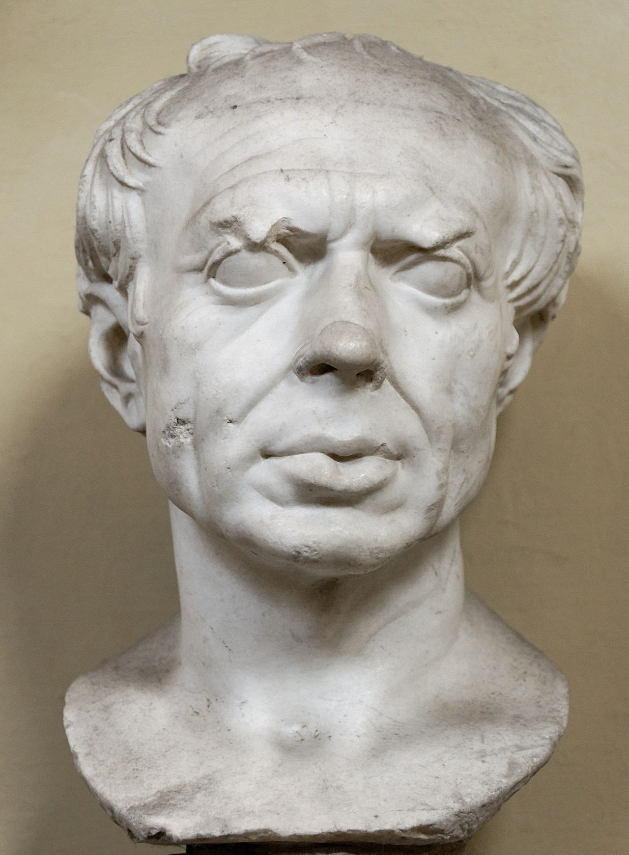 A marble Roman statue of a man's head and shoulders.