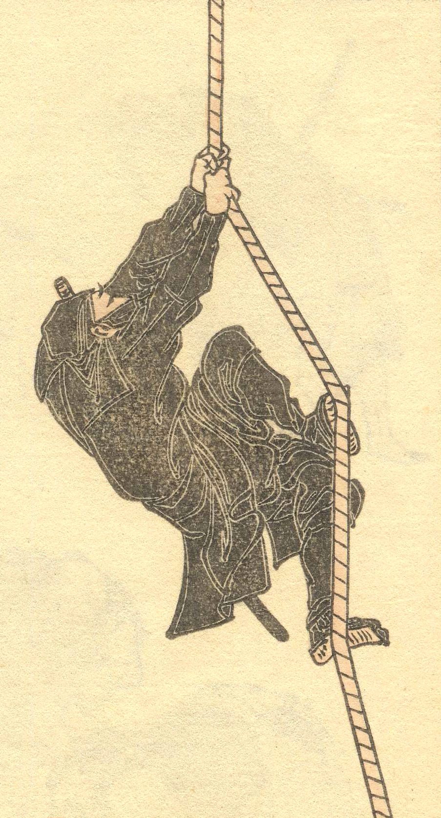 Ninja Warriors