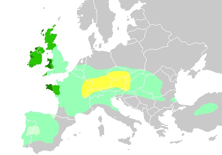 The Celts