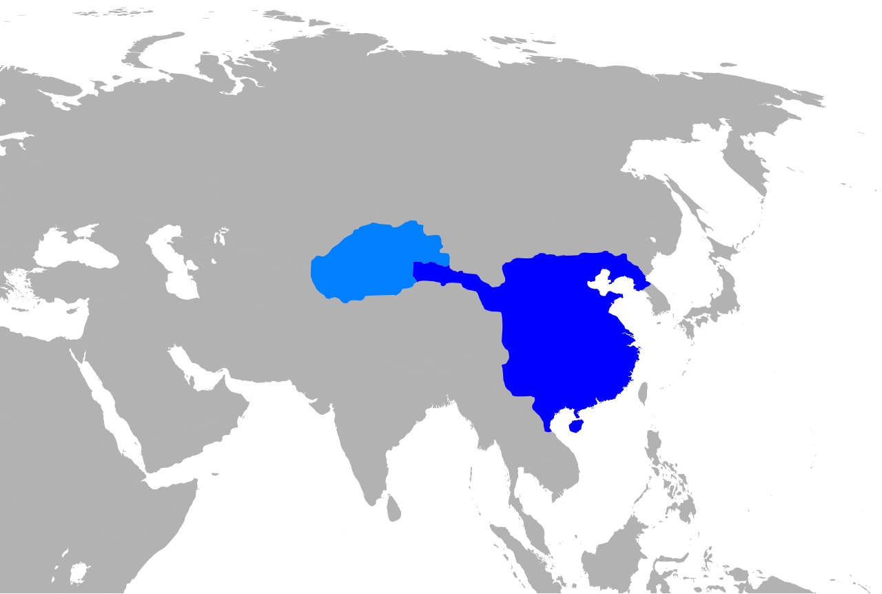 The Han Dynasty