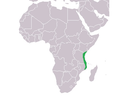 The Swahili Coast