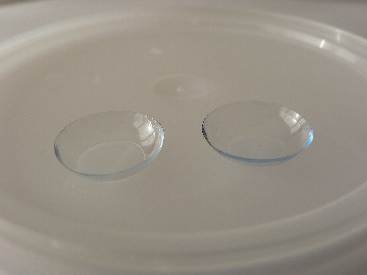 Contact Lenses