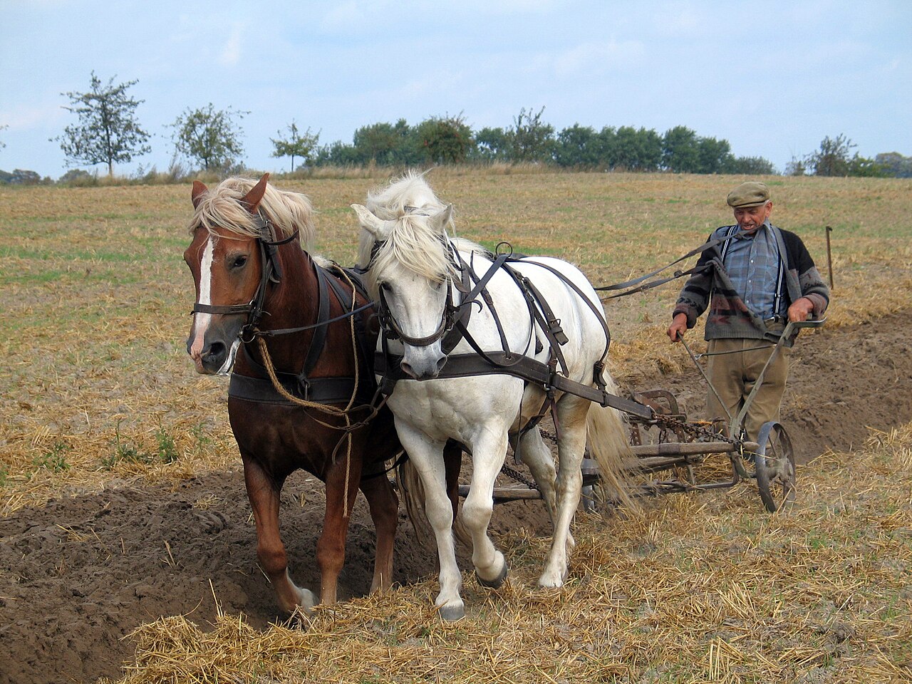 The Plow