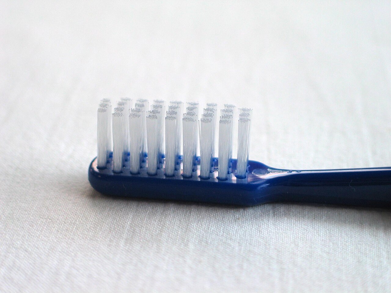 The Toothbrush