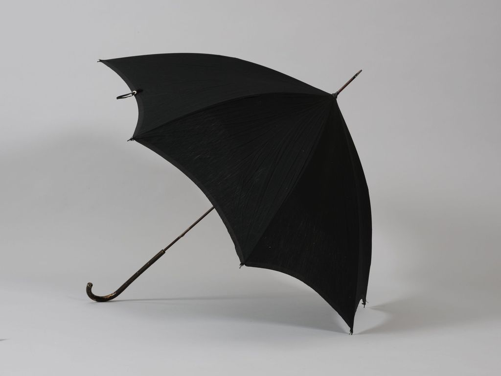 The Umbrella