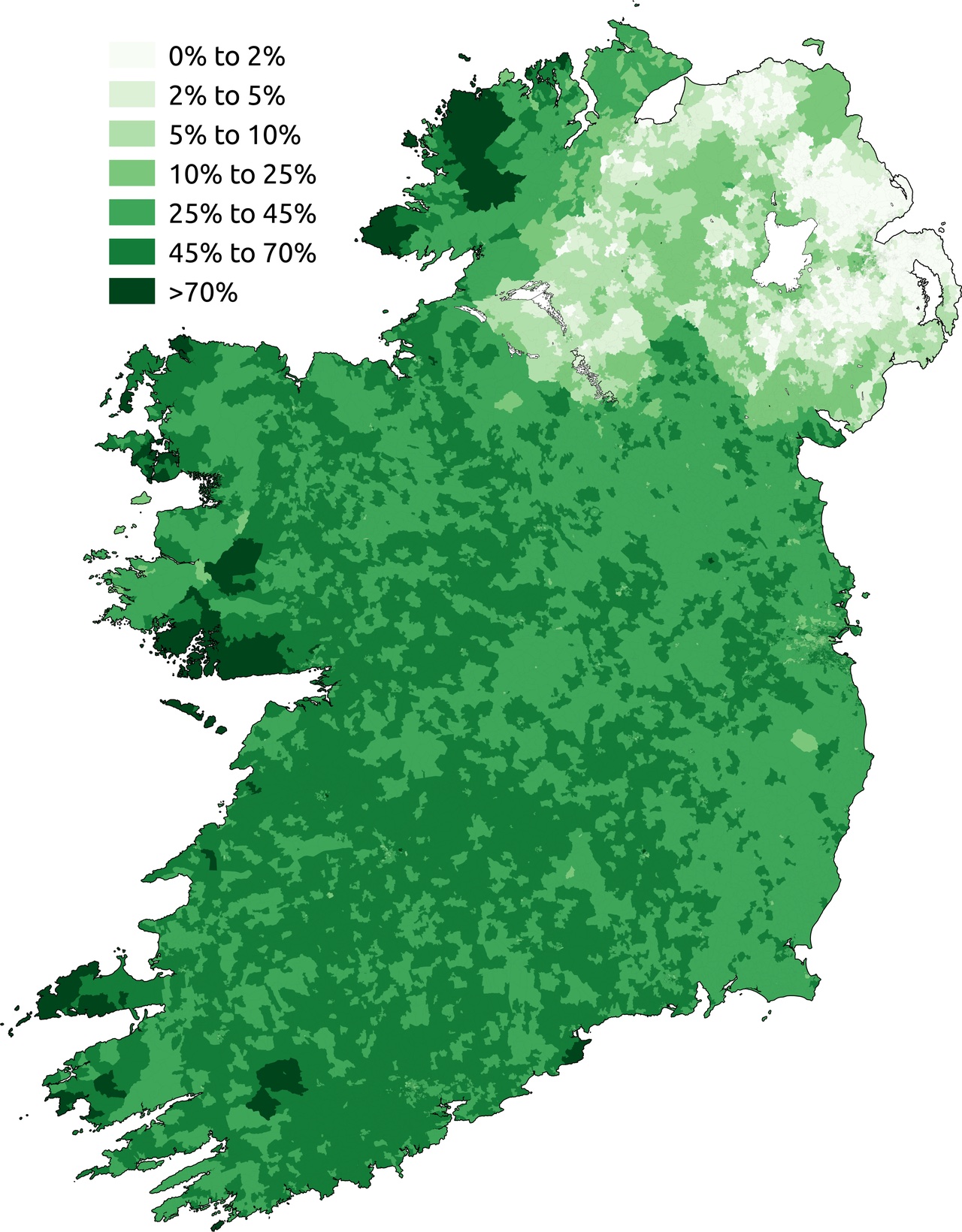 The Irish Language