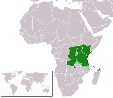 The Swahili Language