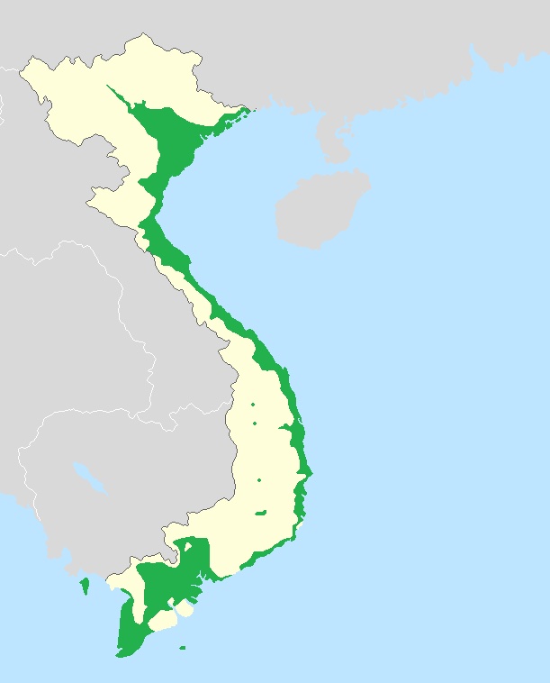 The Vietnamese Language