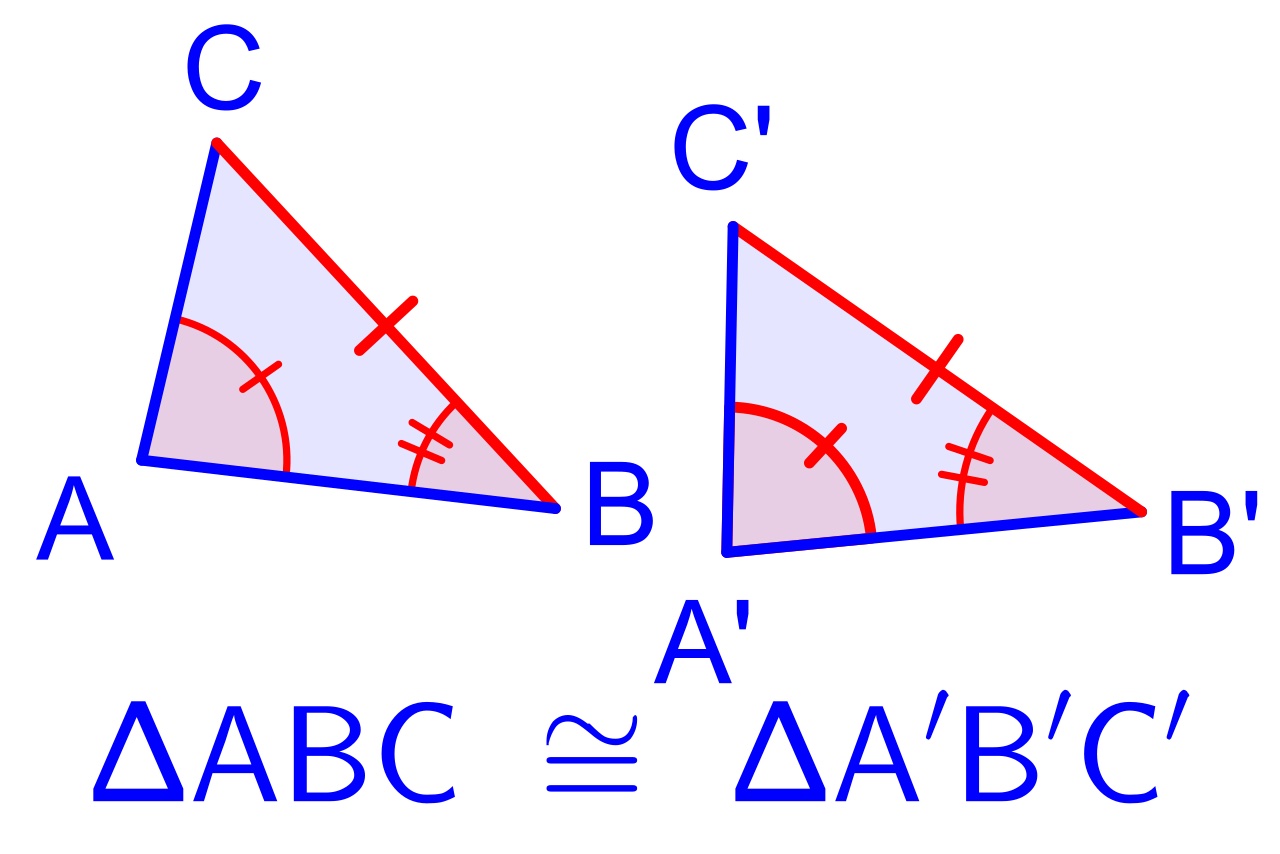 Congruent Shapes