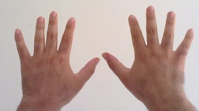 Two hands with ten fingers, just like our number system.