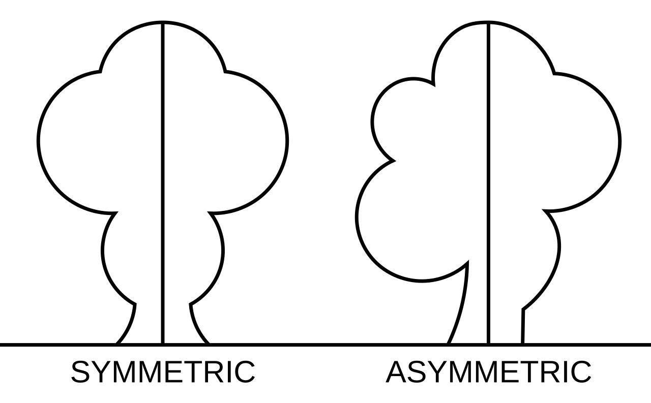 Symmetry